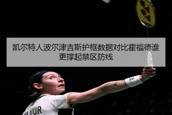 凯尔特人波尔津吉斯护框数据对比霍福德谁更撑起禁区防线
